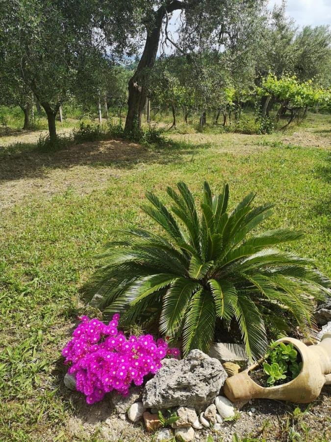 B&B Stella Dell'Adriatico Ortona Exterior photo