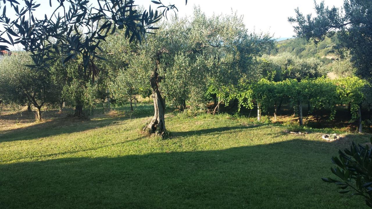 B&B Stella Dell'Adriatico Ortona Exterior photo