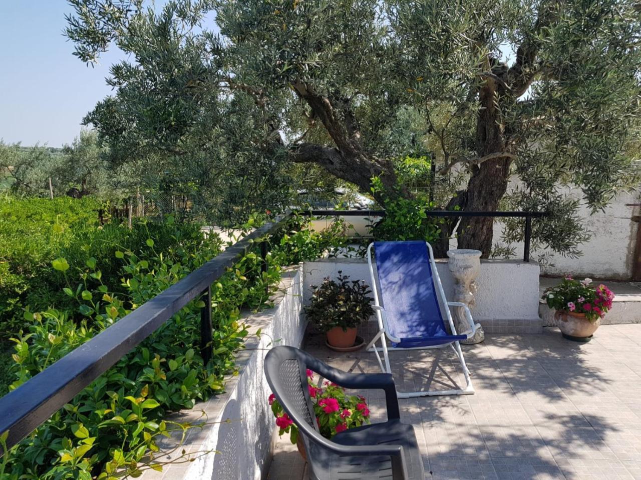 B&B Stella Dell'Adriatico Ortona Exterior photo